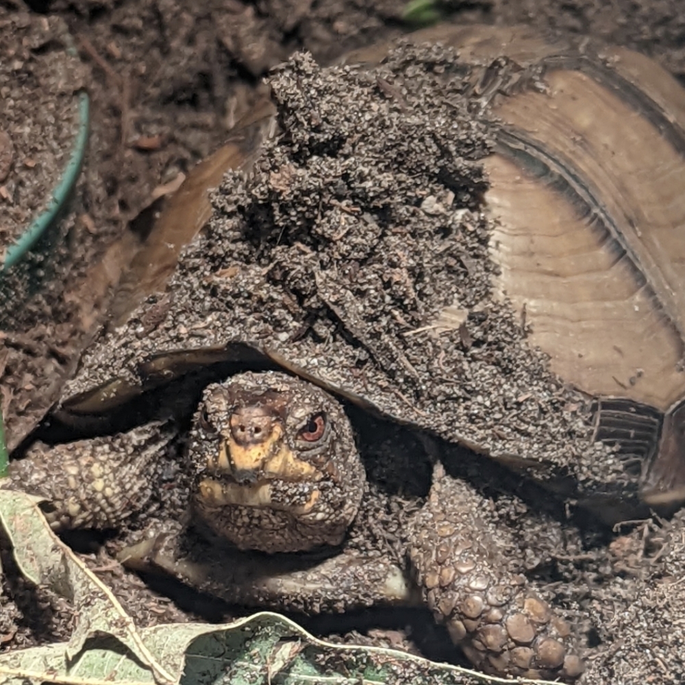 Meet your Posher, Andrew